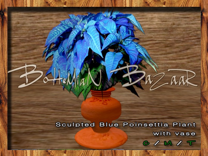 Plant with vase ( Blue Poinsettia) FULL PERM