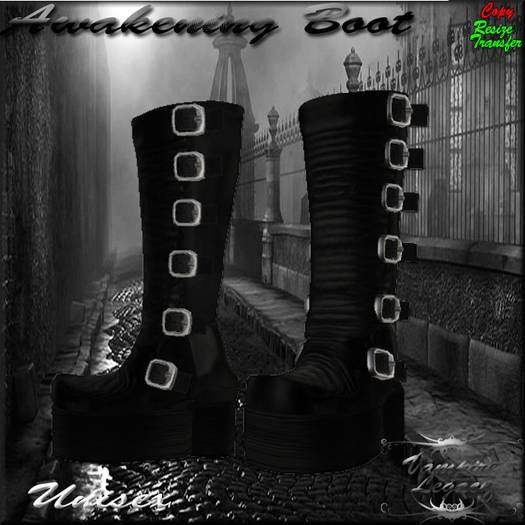 Vampire Legacy - Awakening Unisex Boot ,Goth,Vampire