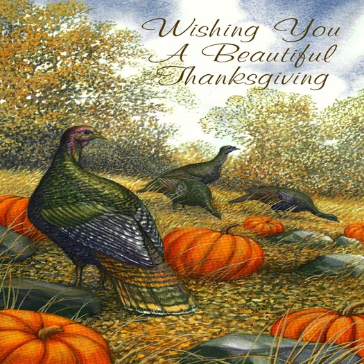 THANKSGIVING GREETING CARD