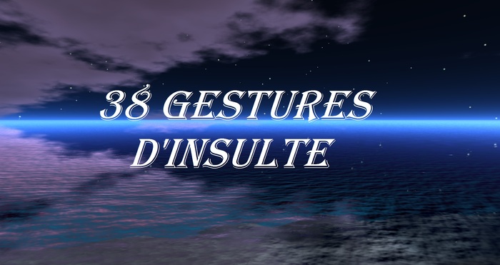 38 GESTURES INSULTE