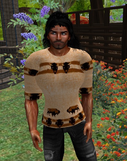 Men's Buffalo Pullover Sweater