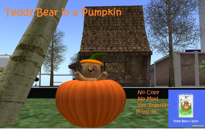 teddy IN PUMPKIN