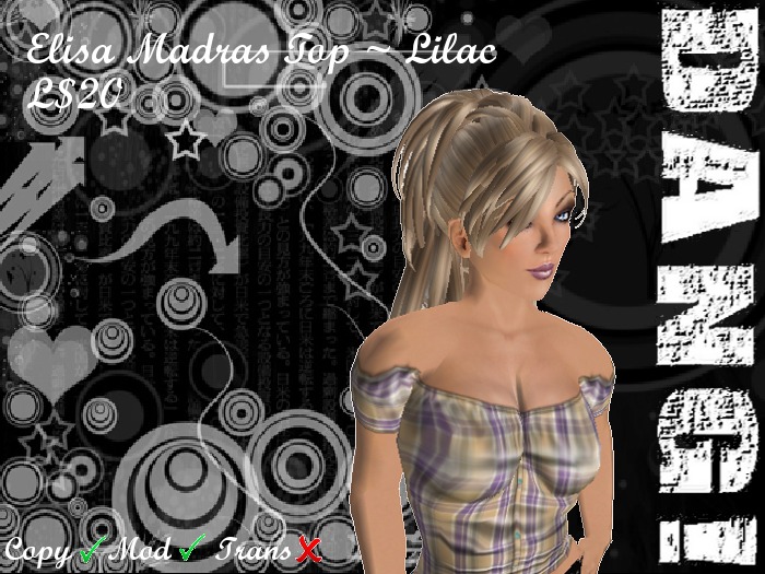 DANG! Elisa ~ Plaid Gypsy Top ~ Lilac