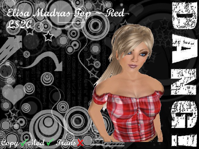 DANG! Elisa ~ Plaid Gypsy Top ~ Red