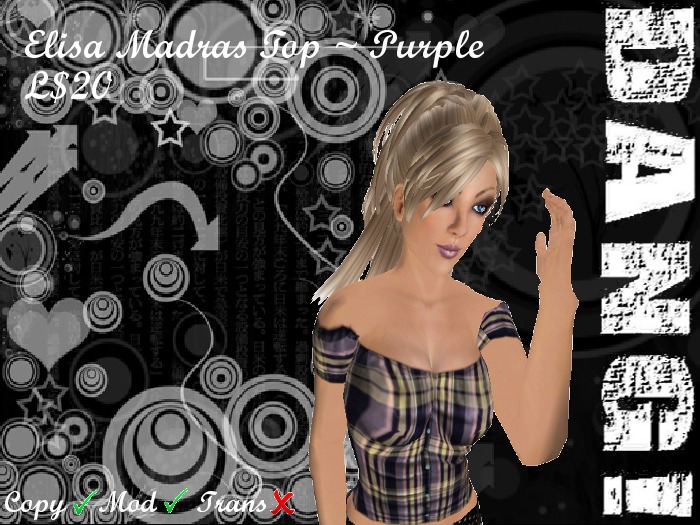 DANG! Elisa ~ Plaid Gypsy Top ~ Purple