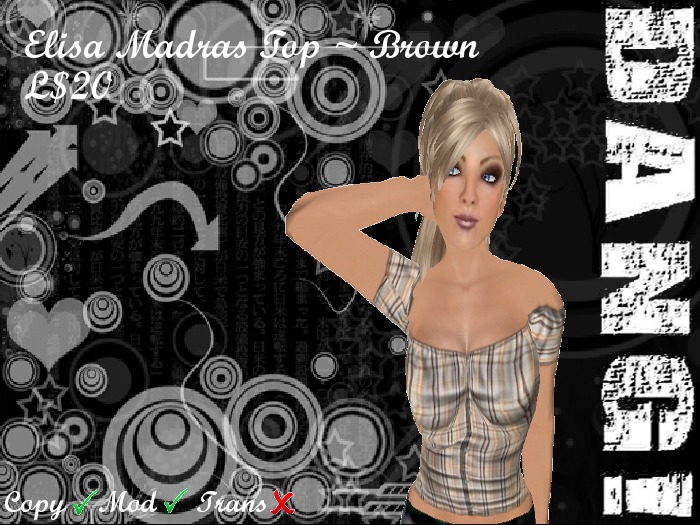DANG! Elisa ~ Plaid Gypsy Top ~ Brown
