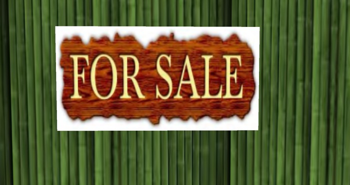 FOR SALE SIGN OR POSTER, BANNER