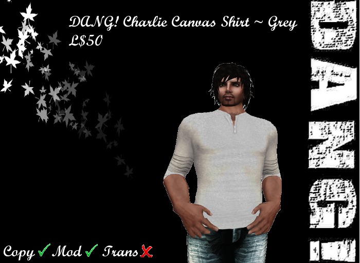 DANG! Charlie Canvas Shirt ~ Grey