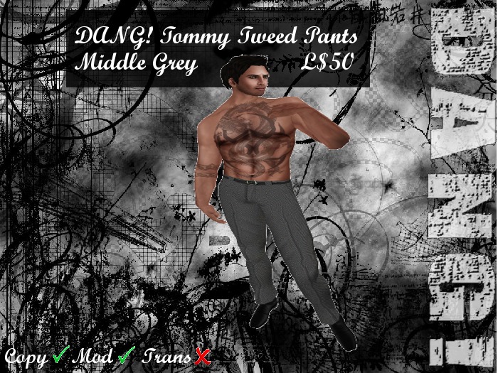 DANG! Tommy ~ Formal Tweed Trousers ~ Middle Grey