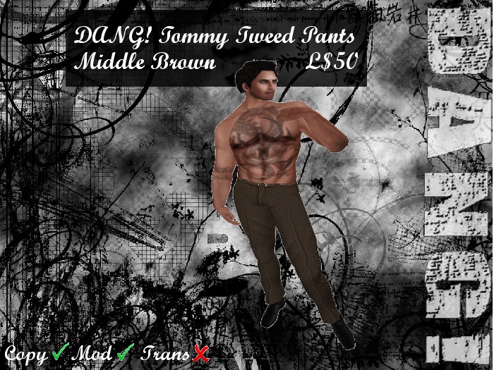 DANG! Tommy ~ Formal Tweed Trousers ~ Middle Brown