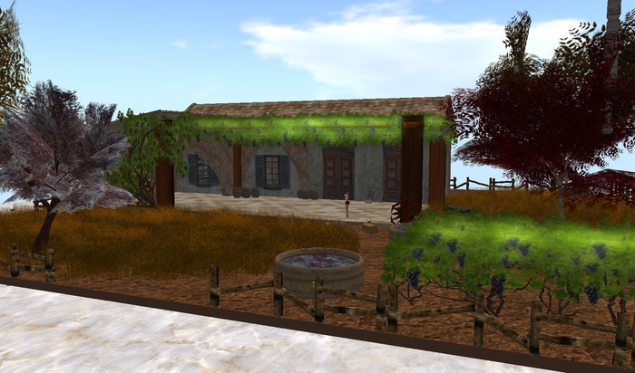 G^G  HOUSE CANTINA VENDEMMIA