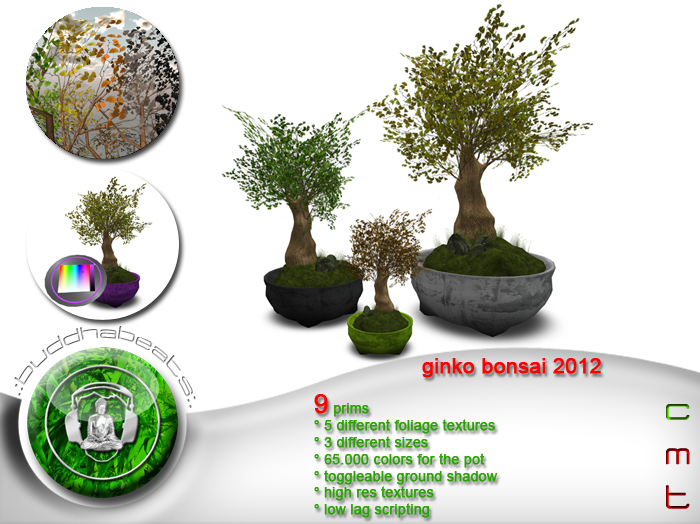 .:buddhabeats:. Ginko Bonsai 2012