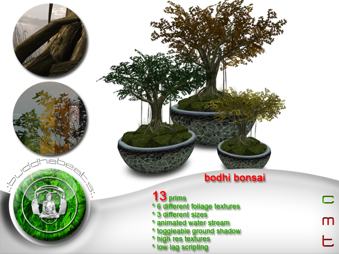 .:buddhabeats:. Bodhi Bonsai 2012