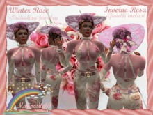 Winter Rose  (Inverno Rosa )