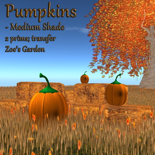 *ZG* Medium Pumpkin (small)