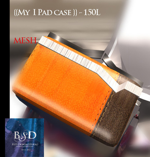 {{BSD Design Studio}}my  Ipad case- orange