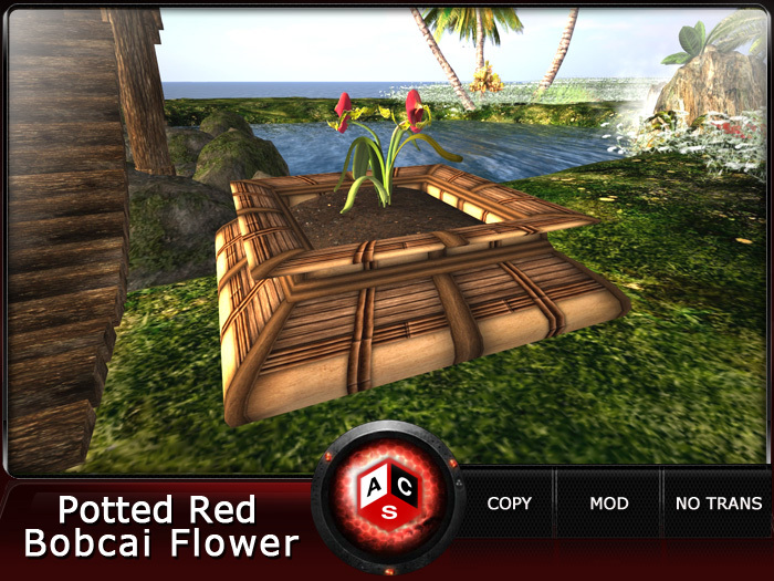 ACS Potted Red Bobcai Flower