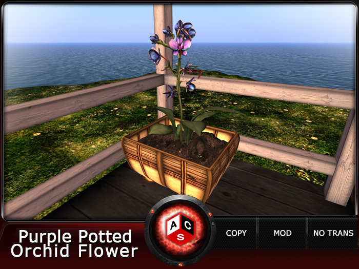 ACS Purple Potted Orchid Flower
