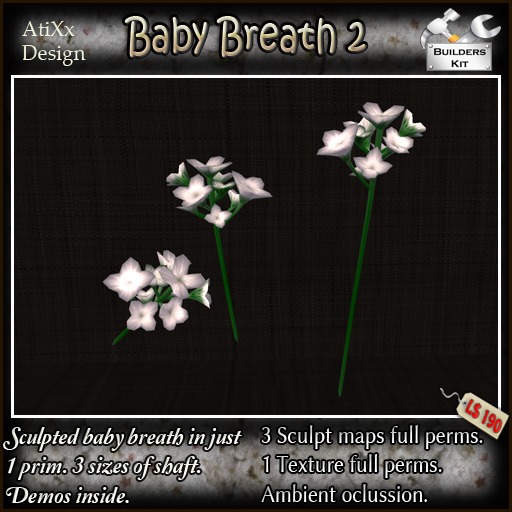 -AtiXx- Baby Breath 2