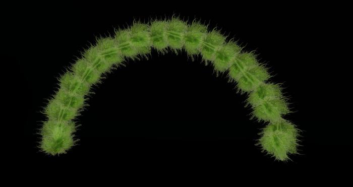 [ TL ] FURNITURE Baptista Blue (18) - DOLLARBIE