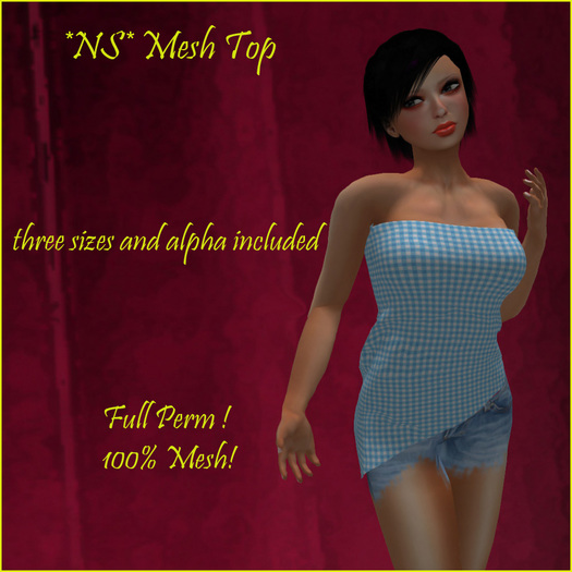 *NS* Mesh Top