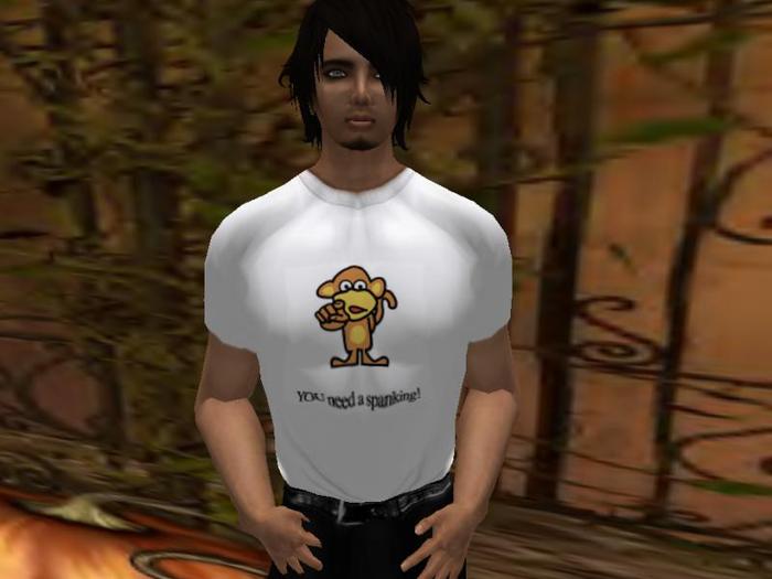 You Need a Spanking! T-Shirt