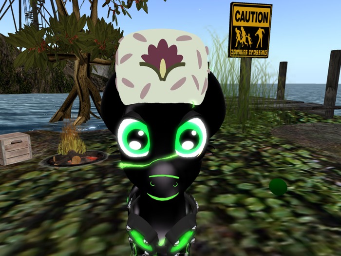 Dat Hat