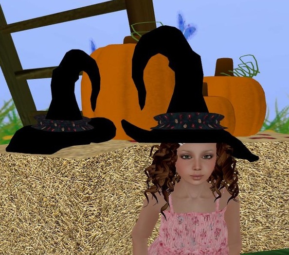 Bug Witch Hat-M