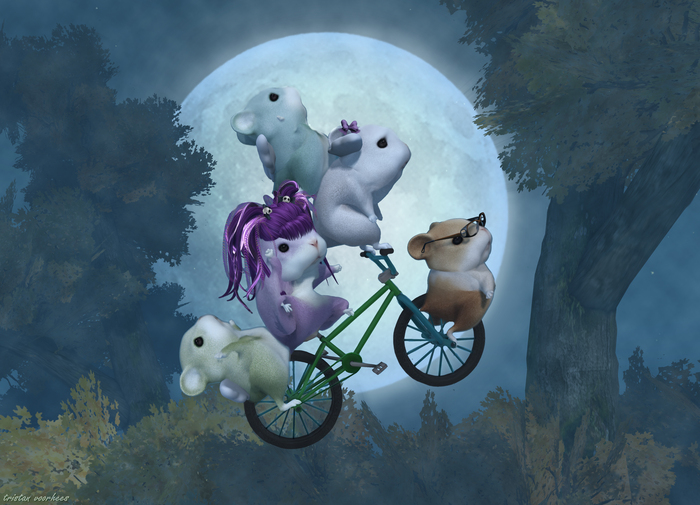 In~Stance - "Hamster Friends - Hamcycle"