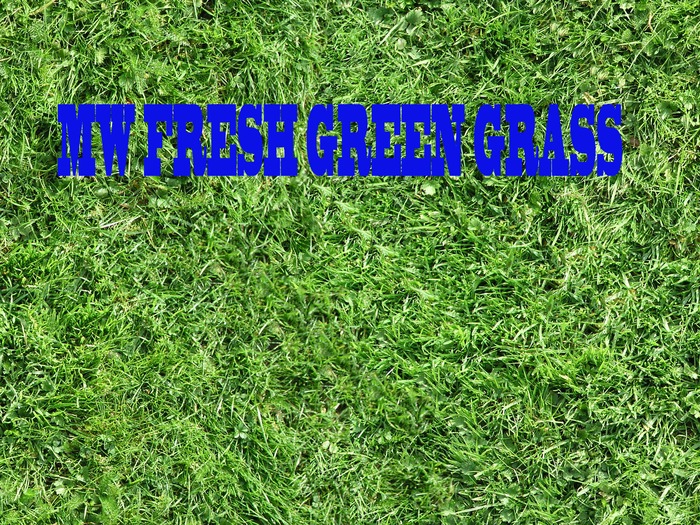 Green fresh grass full perms seamless texture