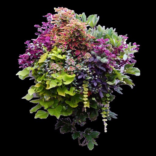 KMR-Foliage-moss