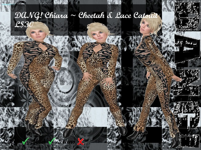 DANG! Chiara ~ Cheetah & Lace Catsuit