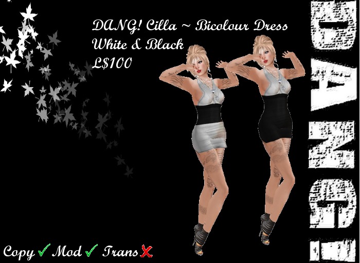 DANG! Cilla ~ Bicolour Dress ~ White & Black