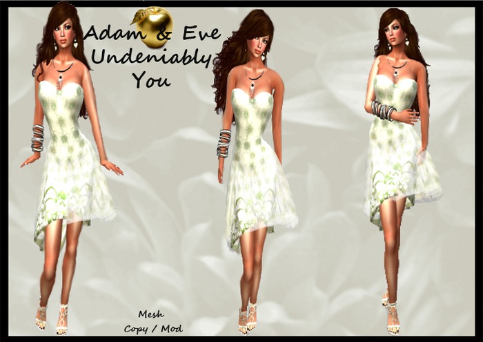 A&E Undeniably You Rigged Mesh