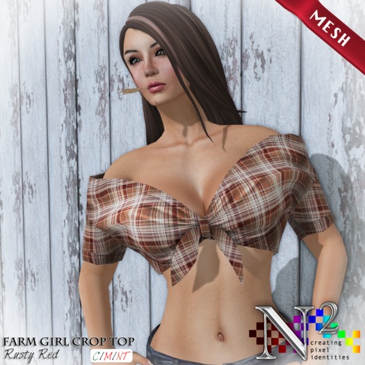 ::N2:: Mesh Farm Girl Crop Top Rusty Red