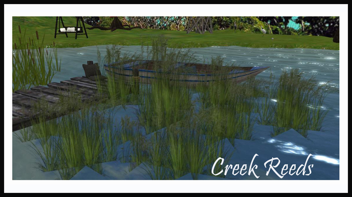 Creek Reeds