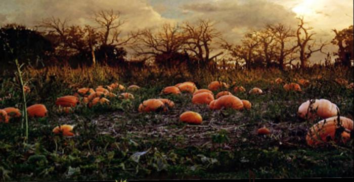 MW Sim  back drop  Haunted Pumpkin patch copy modify halloween