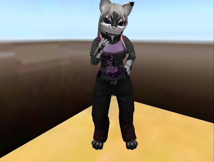 Twilight T-shirt Texture