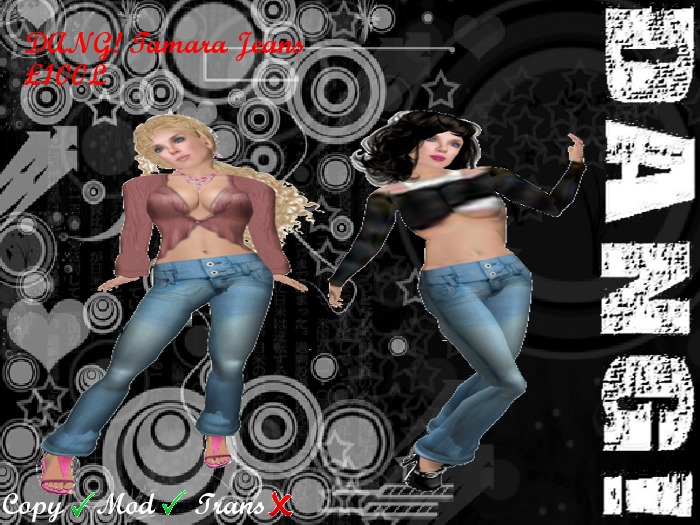 DANG! Tamara ~ Ladies High Waisted Jeans