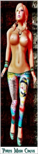 Pants Punk Circus Mesh SsanasS Designs