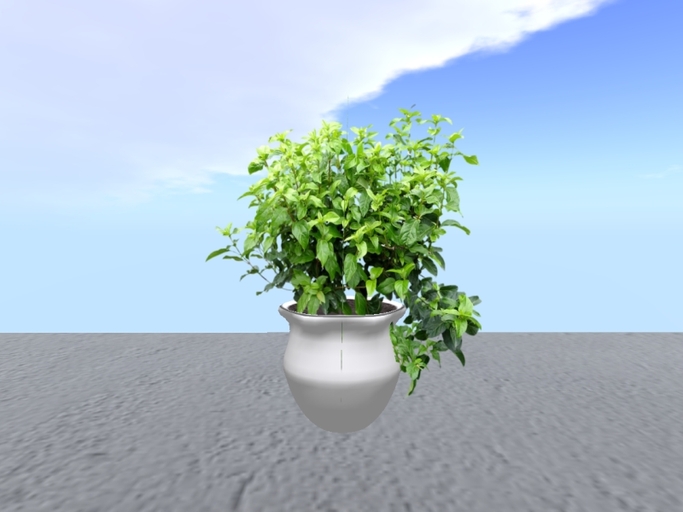 Arkad's Potted Linden Arrowwood flexi plant