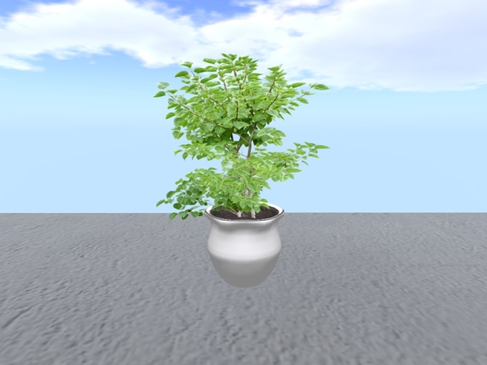 Arkad's Potted French Lilac flexi plant