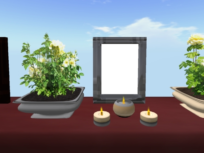 Arkad's Picture Frame w/ Candles & Potted Flexi Rose (grey set)