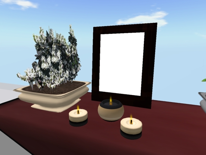 Arkad's Picture Frame w/ Candles & Potted flexi Blue Sage