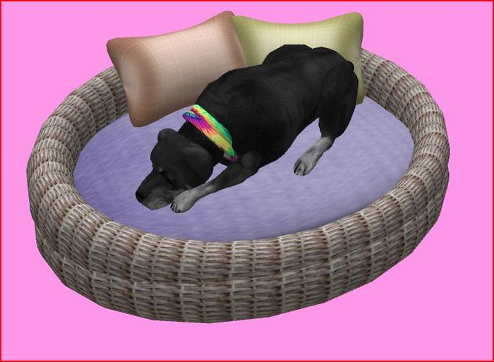 Dog Bed for middle size Dog's