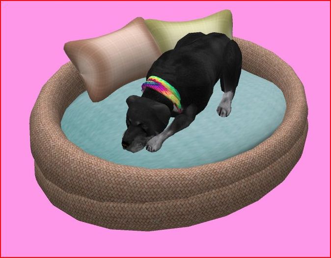 Dog Bed for middle size Dog's