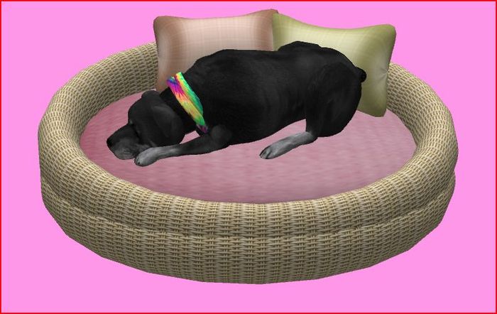 Dog Bed for middle size Dog's