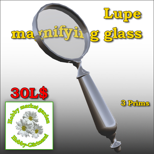 Magnifying glass