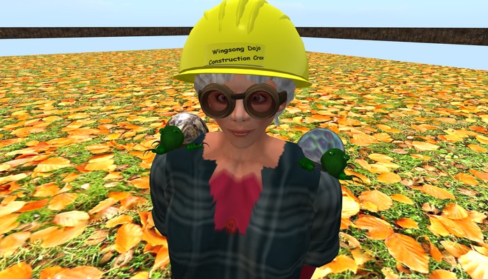 Wingsong Turtle Shoulder Buddy Box