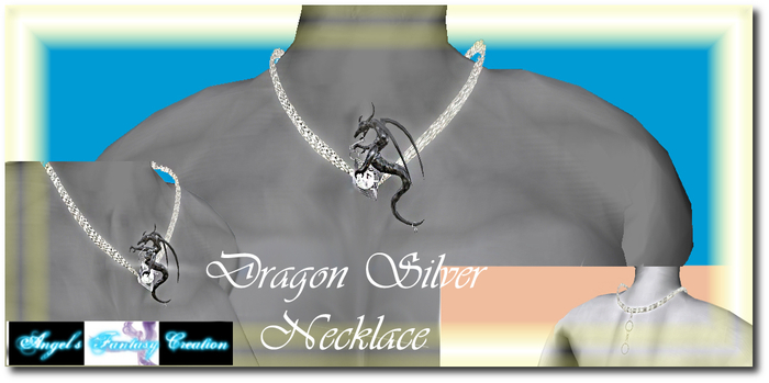 Dragon Silver Necklace Boxed